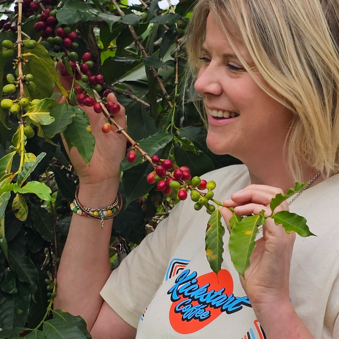 Plant a Coffee Tree