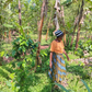 Plant a Coffee Tree