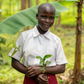 Plant 100 coffee trees