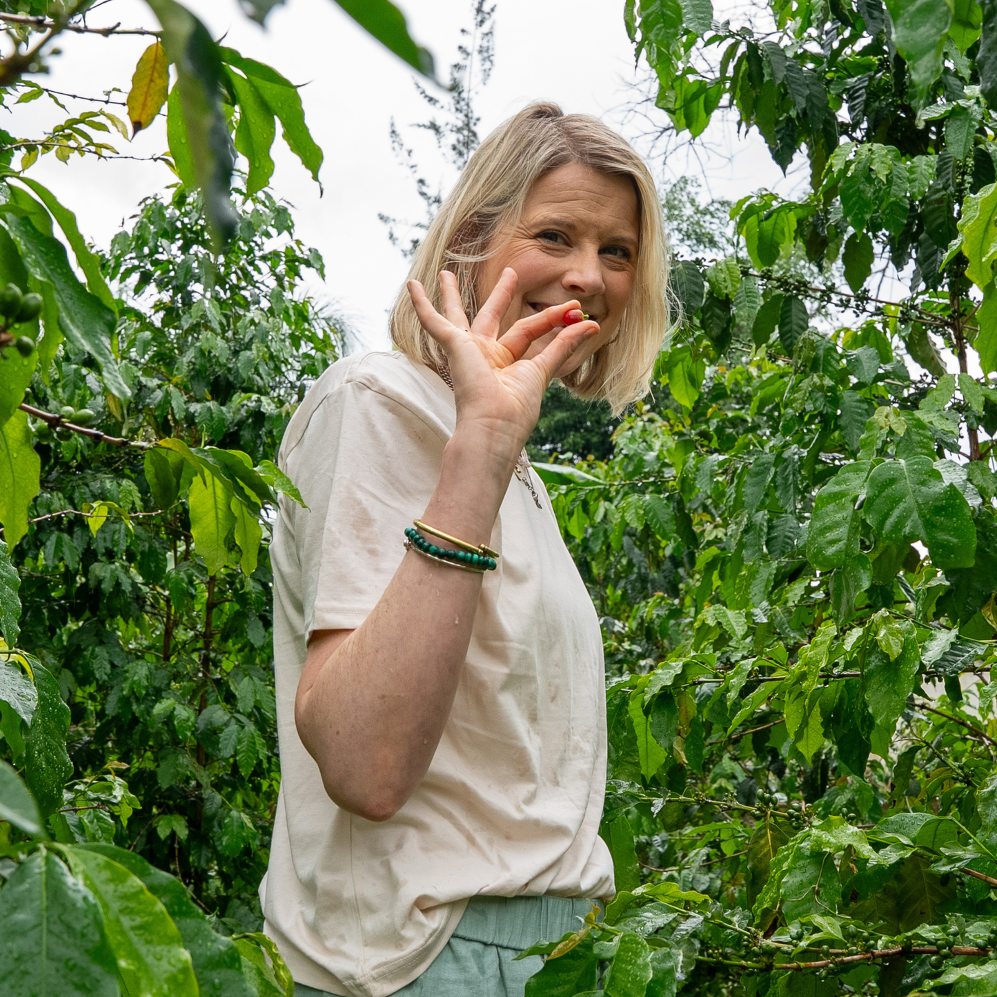 Plant 100 coffee trees