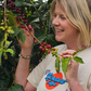 Plant a Coffee Tree